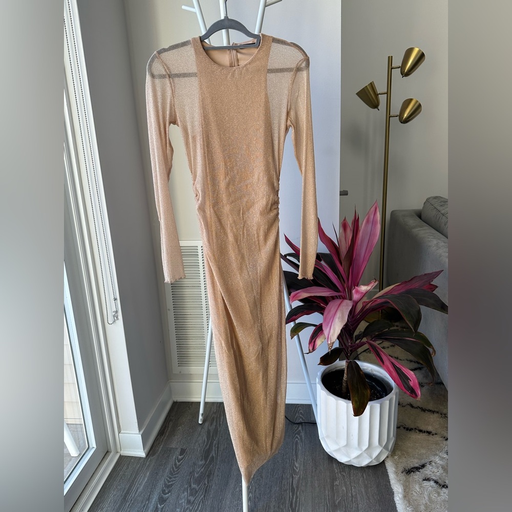 Zara Elegant  Champagne Gold Sheer Long Dress